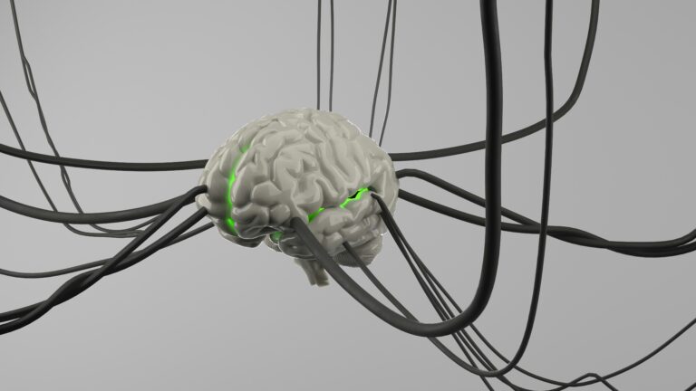 Neuroplasticity Critical period Sensitive perid