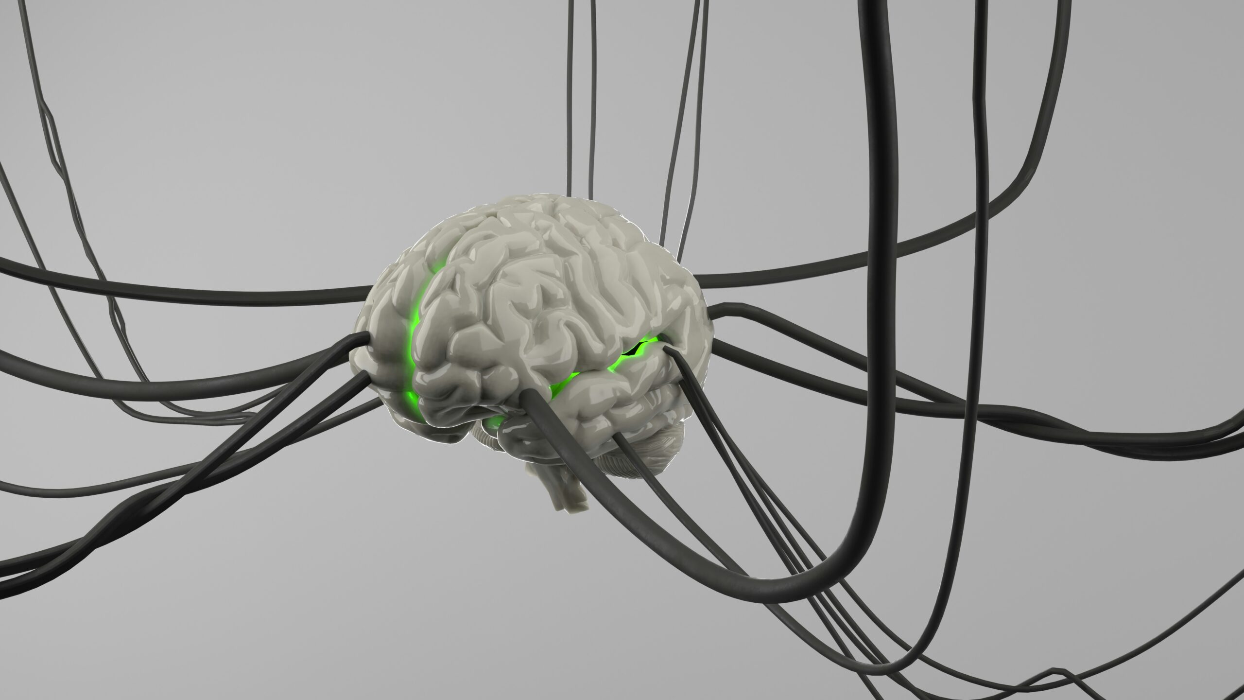 Neuroplasticity Critical period Sensitive perid